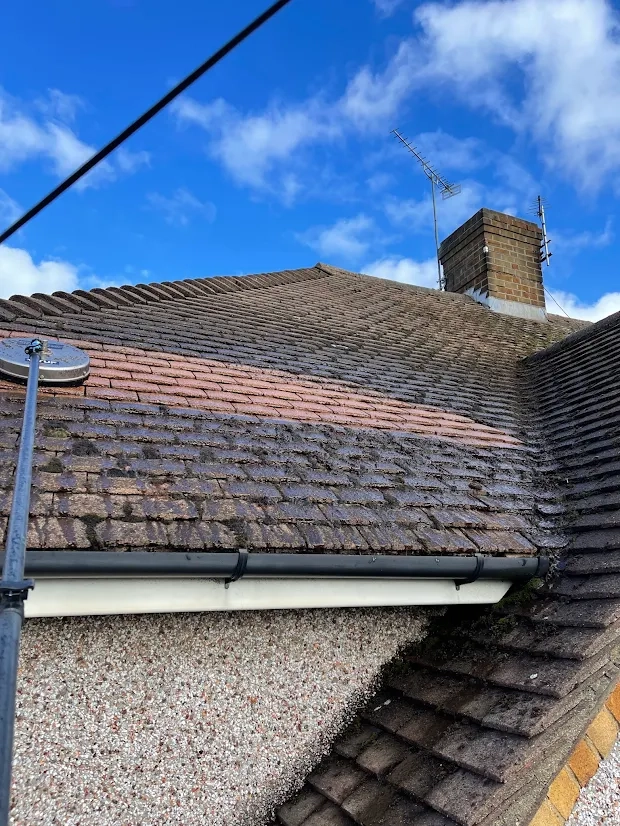 roof-cleaning