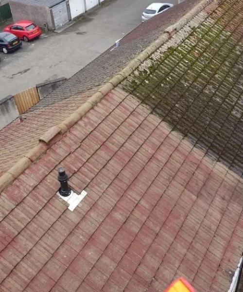 roof-cleaning (1)